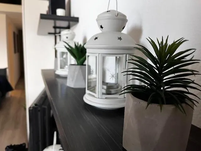 Elysia * 카폴리베리